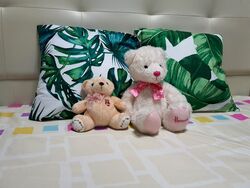 Novena Court (D11), Apartment #335058511